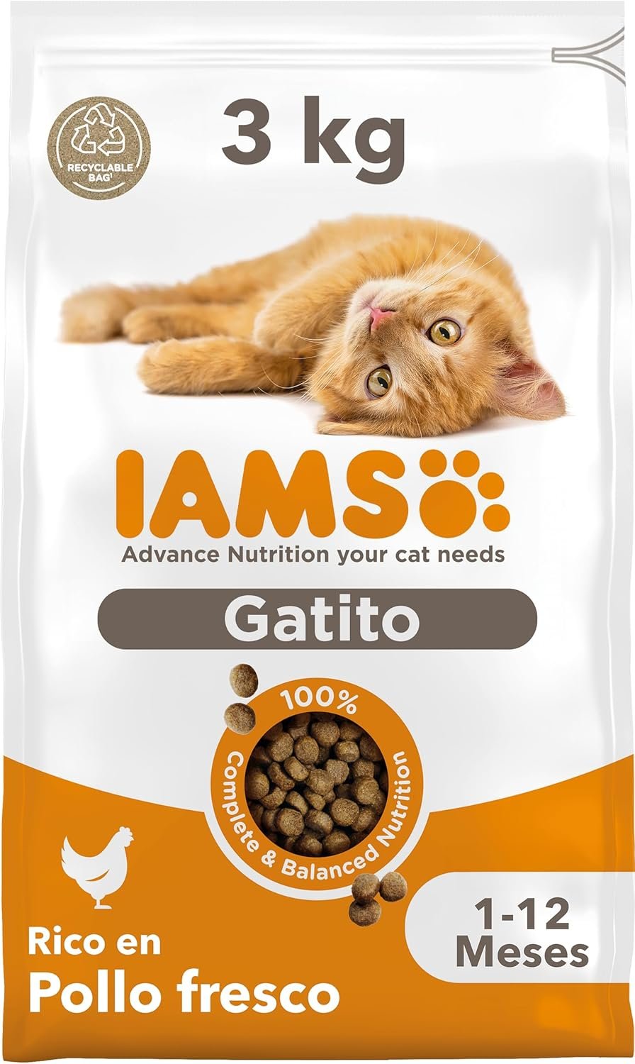 IAMS Alimento seco para gatitos de 1-12 meses